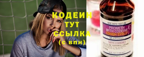 спиды Ельня
