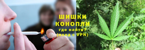 спиды Ельня