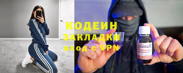 спиды Ельня