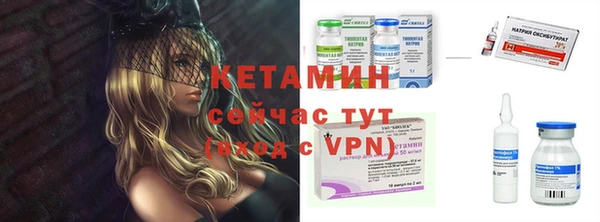 спиды Ельня