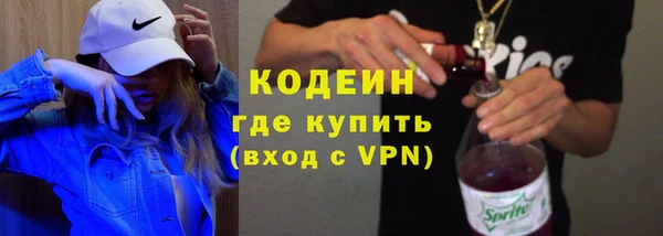 спиды Ельня