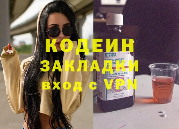 спиды Ельня