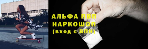 спиды Ельня