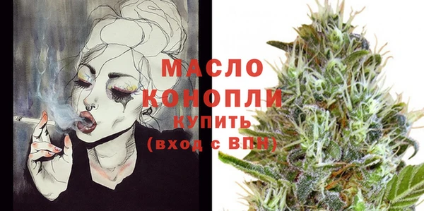 спиды Ельня