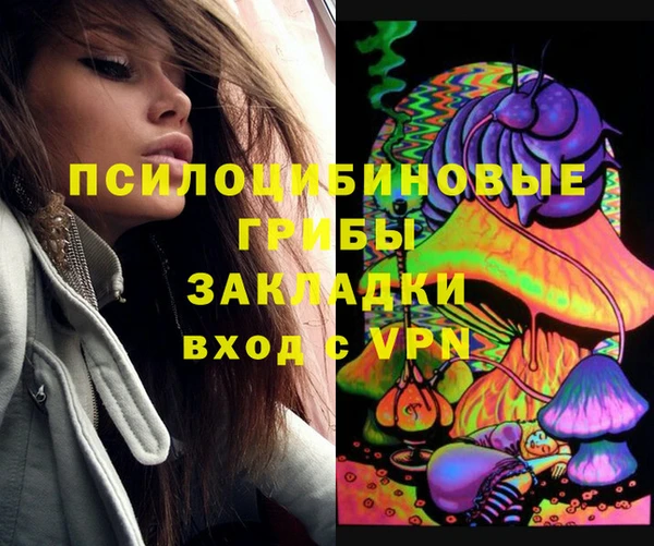 спиды Ельня