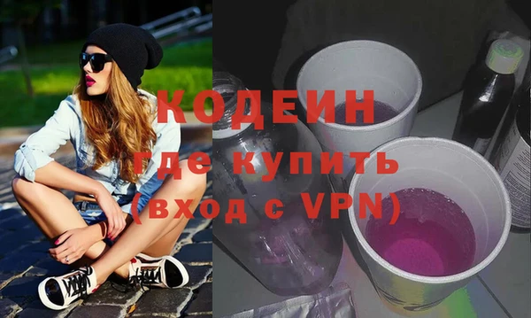 спиды Ельня