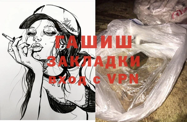 спиды Ельня