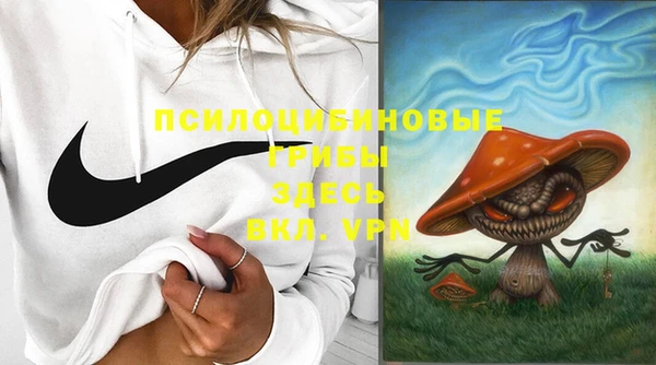 бошки Елизово