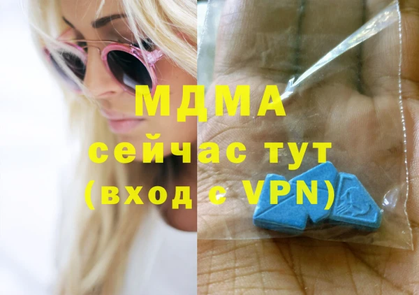 спиды Ельня