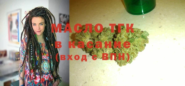 спиды Ельня