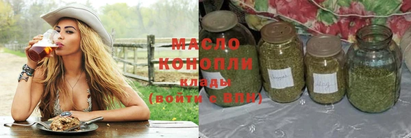 спиды Ельня