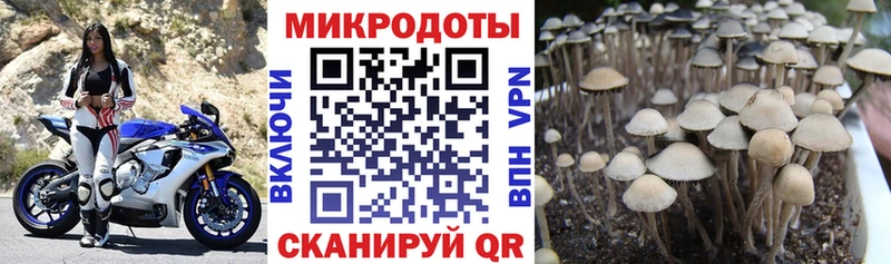 Купить  Апатиты  Псилоцибиновые грибы Magic Shrooms 